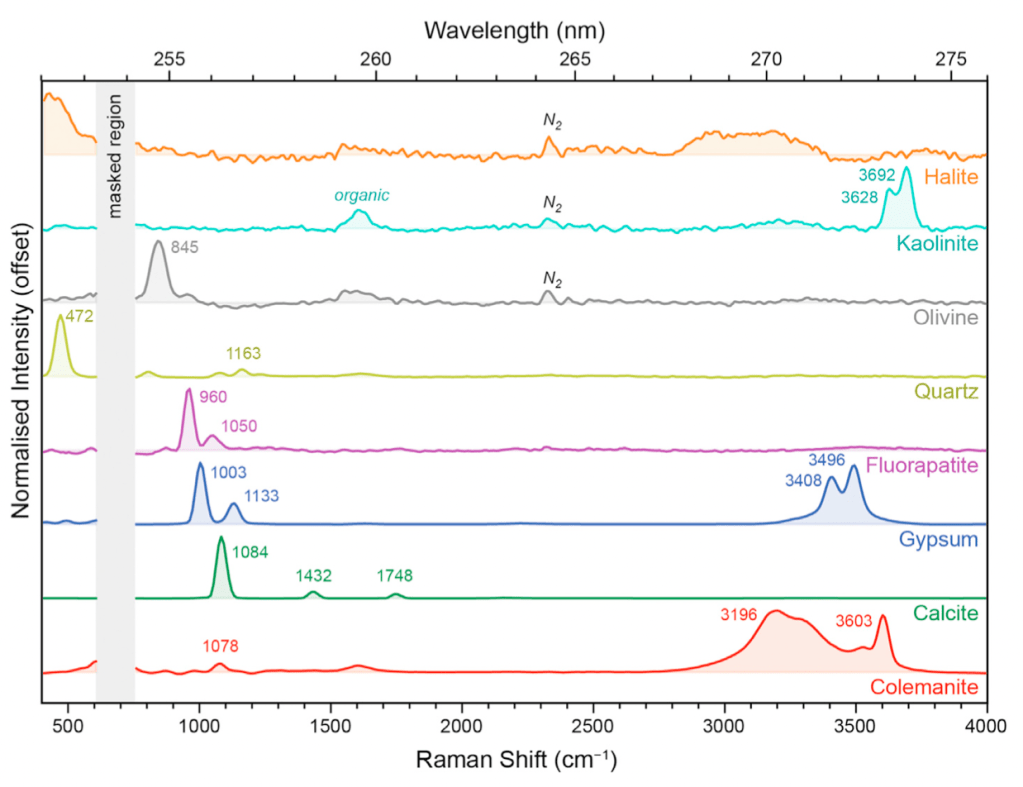 A scientific figure on a white background depicting several different Raman spectra, which appear as horizontal lines with upward spikes at different positions, measured in Raman shift. The lines are labelled Halite, Kaolinite, Olivine, Quartz, Fluorapatite, Gypsum, Calcite, and Colemanite.